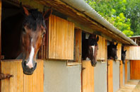 free Horseway Head stable construction quotes